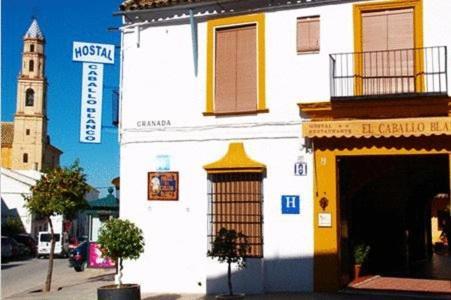 Gasthof El Caballo Blanco Osuna